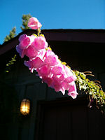 photos-7.jpg